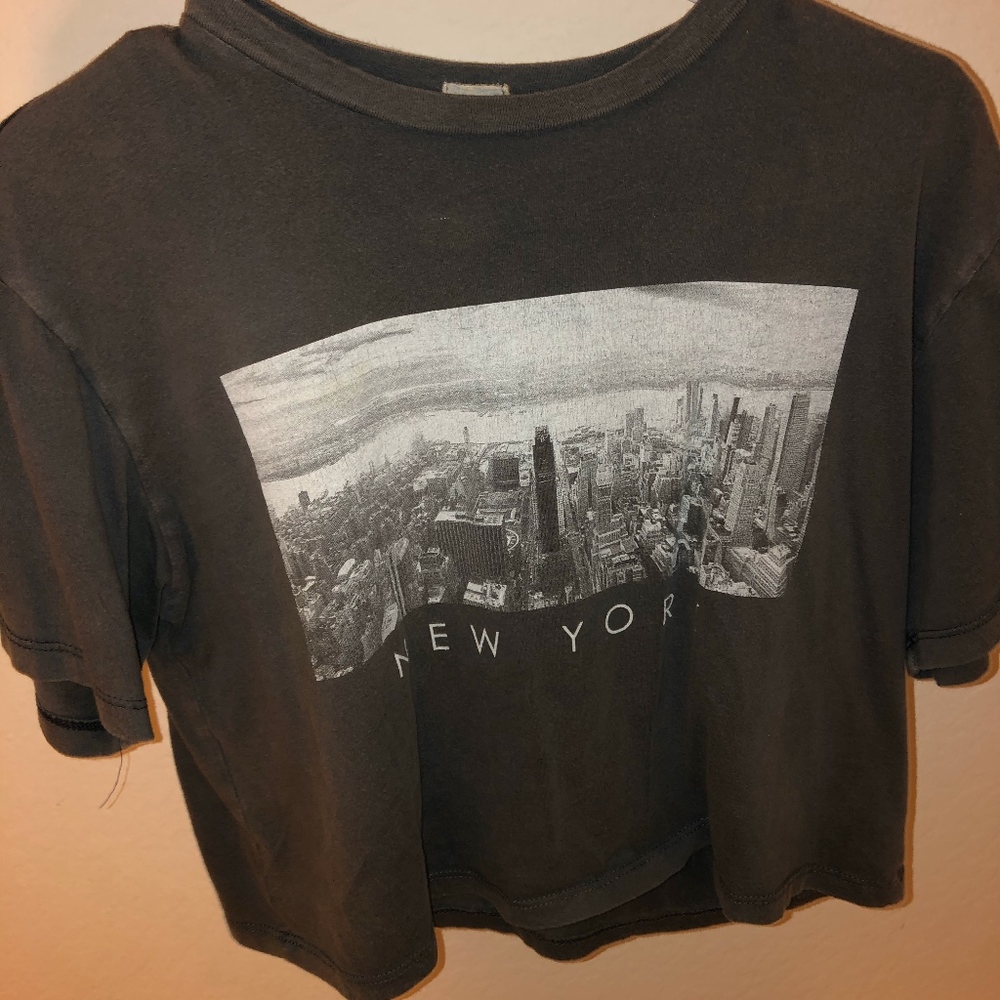 grey brandy Melville crop t-shirt